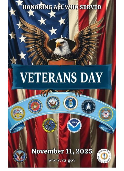 2025 Veterans Day flag display cases free shipping gift box shadowbox veterans laser engraved personalized plate american flag memorial funeral burial army navy air force marines coast guard police fire VFW American Legion citizen retirement deployment medical fire first responders